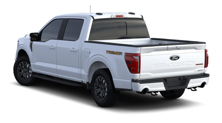 2024 Ford F-150 Vehicle Photo in Terrell, TX 75160